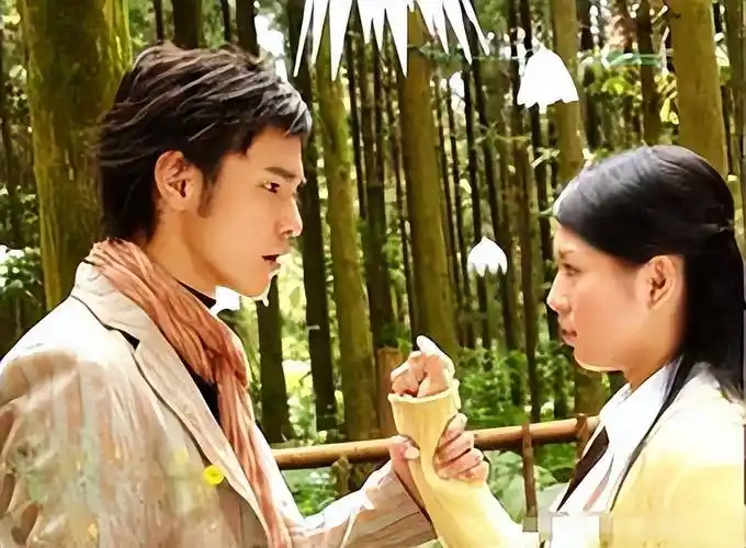 刘品言:凭借"阿奴"爆火,与阮经天恋爱星途尽毁,如今怎么样了_事业