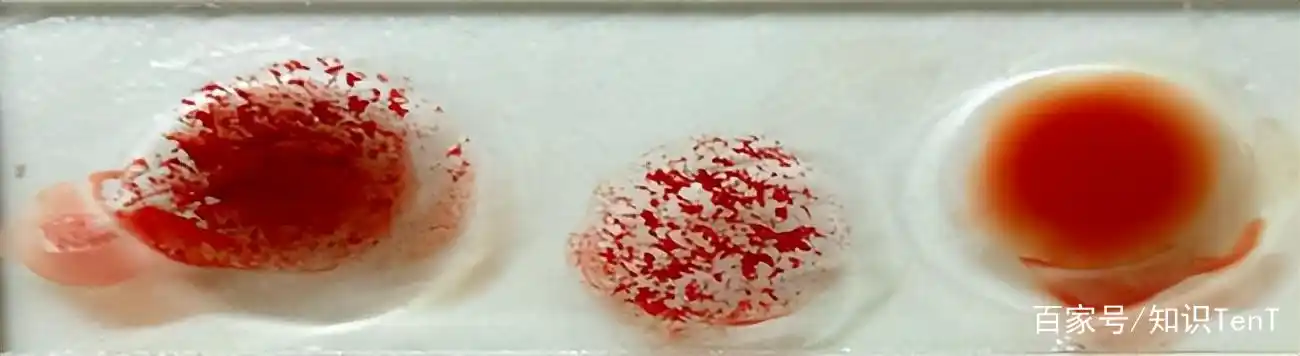 蓖麻毒素:"完美暗杀武器",毒性超越砒霜和氰化物