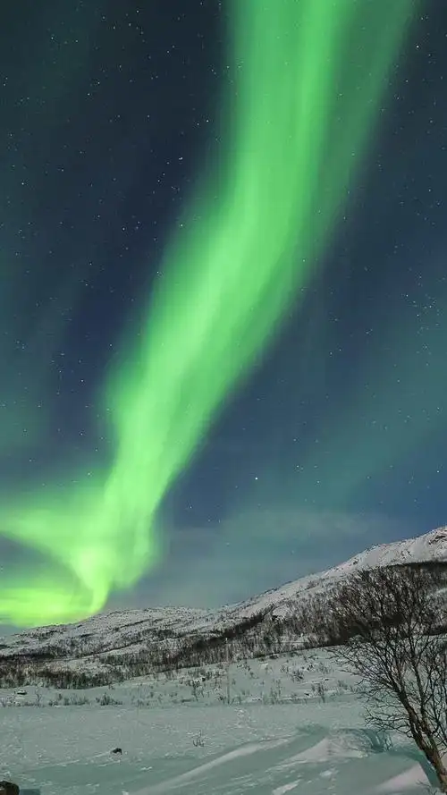 夜光- 骏图 - 图虫