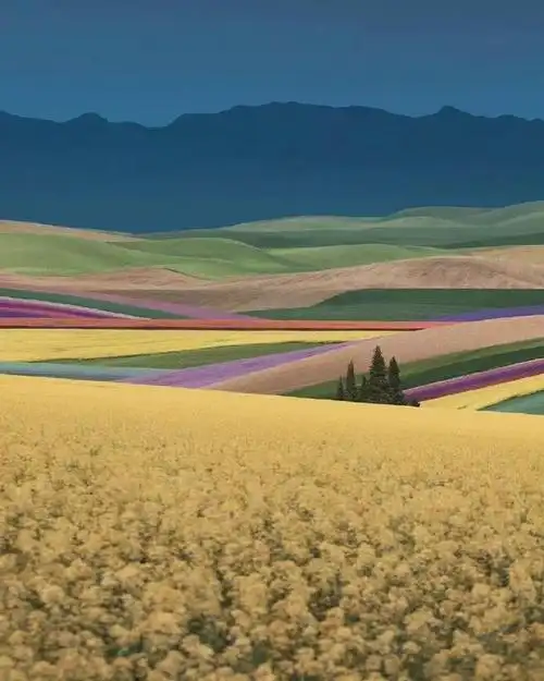 摄影中的色彩美学,镜头中的绘画世界!