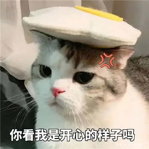 分享一些可爱有趣的表情包