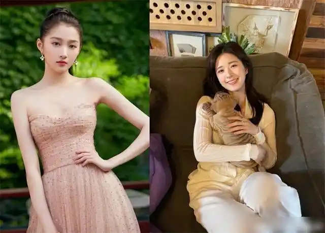 关晓彤赵露思合作对打林峯宠妻靠喊口号杨超越糊了