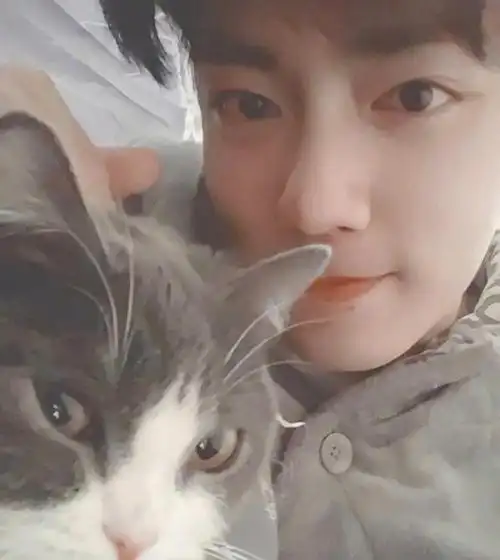 肖战太喜欢坚果合格的猫奴不怕掉毛获得毛裤一条