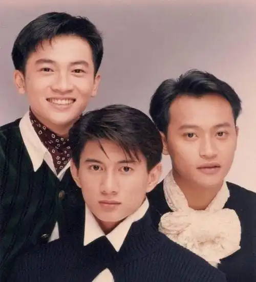 在陈志朋隐退期间,苏有朋转型成为导演,吴奇隆涉足商业并且取得成功