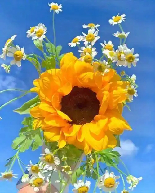 2021最火感悟人生的短句看完让人醍醐灌顶