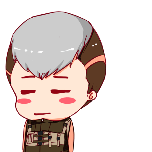 穿越火线中角色众多,很多漂亮妹子和帅哥也有猥琐的斯沃特大叔,下面为