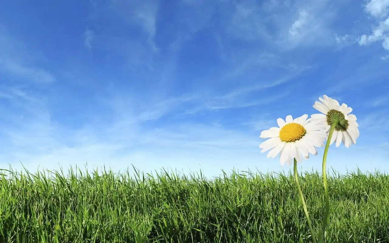 高清护眼美图,可做屏保,爱护眼睛从细节做起.