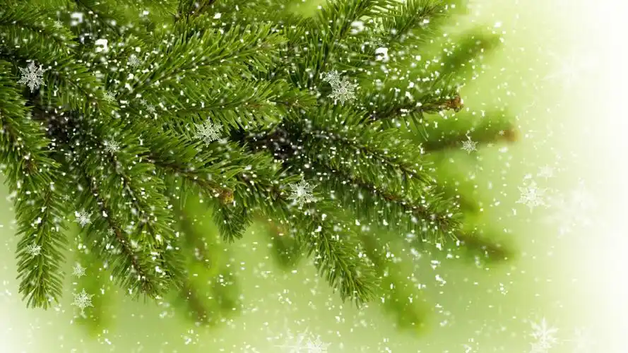 淡蓝色唯美雪花高清桌面壁纸