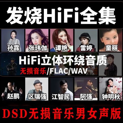 磁性醇厚男声陈宁重低音炮烟嗓男声经典歌曲无损高音质汽车载优盘