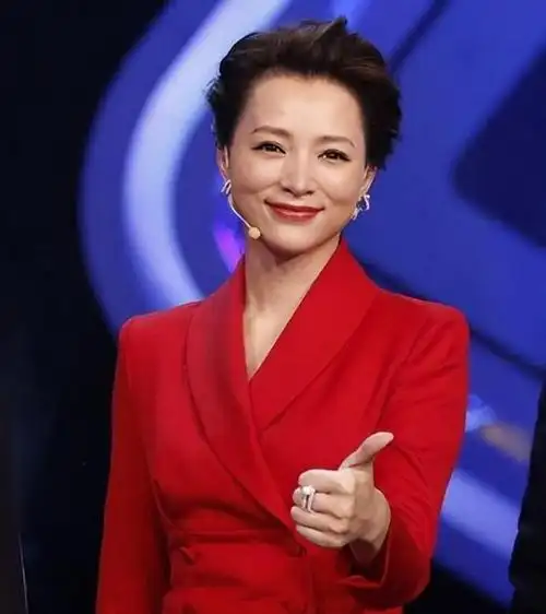 动态清空节目下架,到查无此人的董卿,这次真的要与荧幕告别了