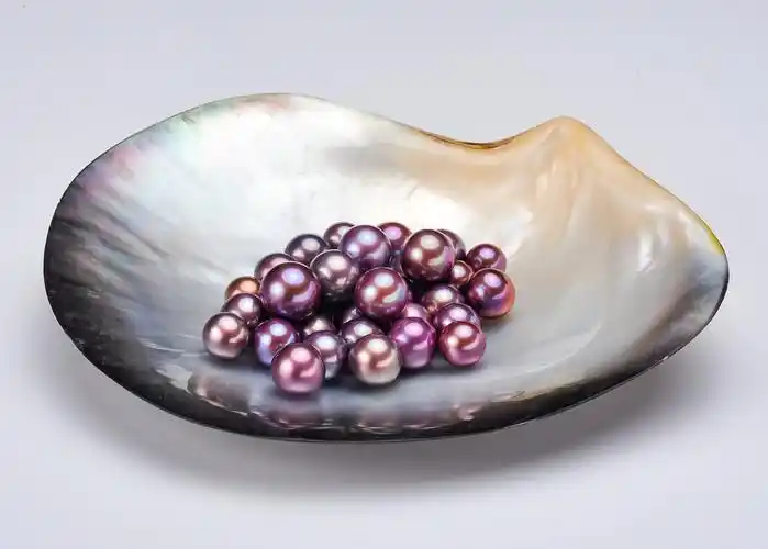 多彩珍珠蚌多拍多送