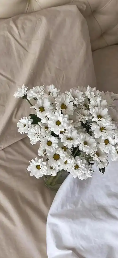 抖音好物推荐背景图片大全(抖音好物推荐背景图片2021最火爆)