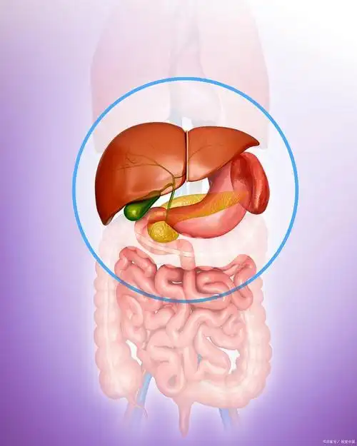 脾是人体中一种非常重要的器官,位于左上腹部.