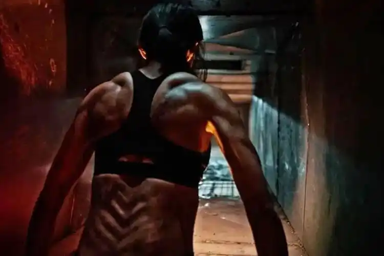 发达强悍的背部肌肉,块块分明,更有美丽的圣诞树在背部生长;大家先一