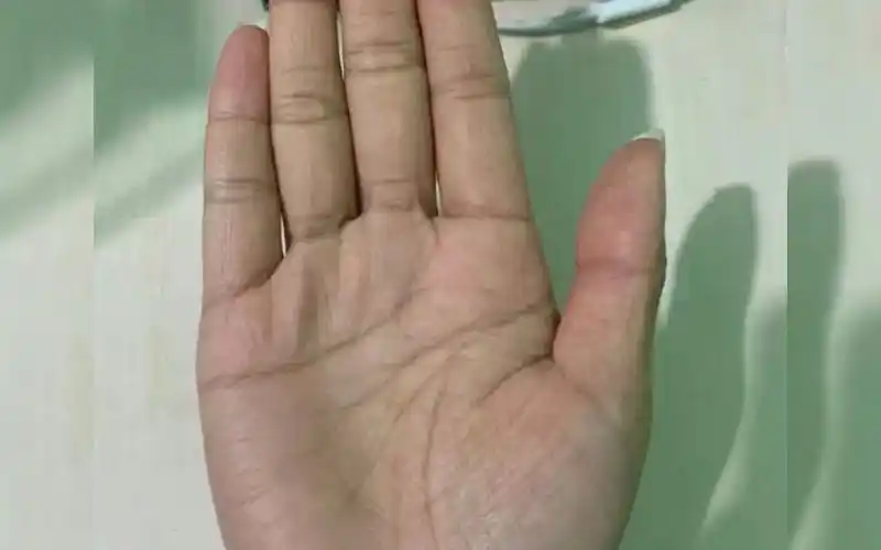 "鱼型纹"善于利于异性感情,寡情的手相