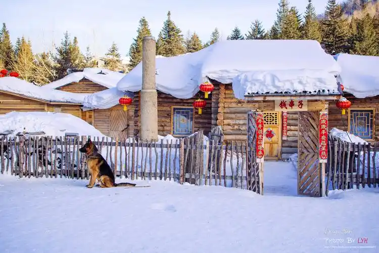 终于明白东北人为什么爱吃肉了