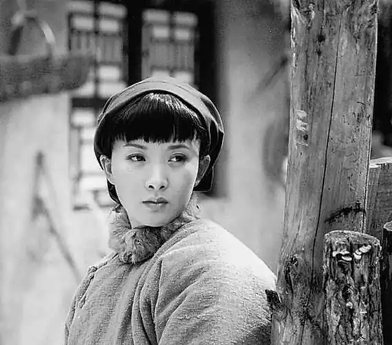 谢兰嫁师小红坚持丁克12年愁坏婆婆41岁意外得子全家乐开怀