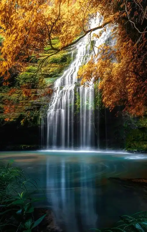 942_1480竖版 竖屏