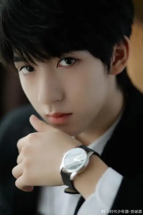 贺峻霖 十九摘星诵捷音