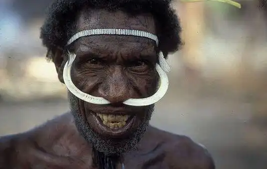 全球唯一纯黑人群岛冰河世纪从非洲迁移至此只与黑人通婚