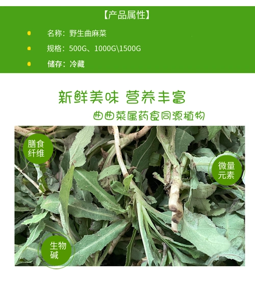 新鲜曲曲菜曲麻菜苦苦菜苦麻子苣荬菜新鲜山野菜蘸酱3斤装