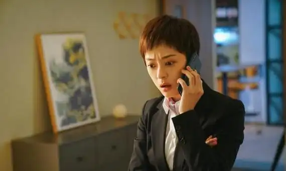 孙俪主演《安家》引发热议:我永远不要做第一名