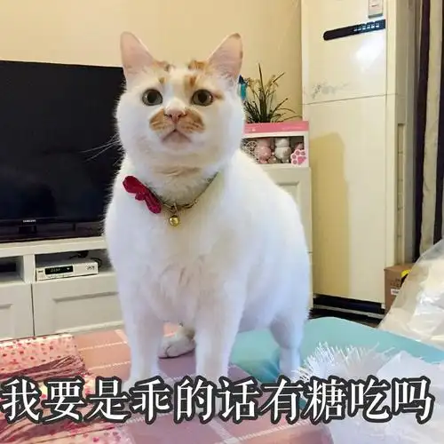 有糖吃吗我要是听话会怎样呆萌可爱gif动图_动态图_表情包下载_soogif