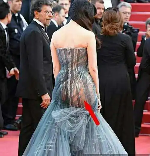 范冰冰透视裙露出曼妙曲线,却暴露了她肥臀的本质