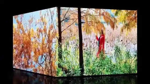 拜年了《今生最美的遇见》,祥龙送福龙年行大运|流行