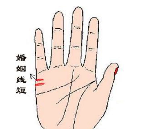 婚姻线在哪个位置婚姻线看左手还是右手