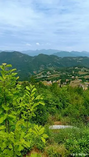 摄影随拍,农村风景,2021年第48期