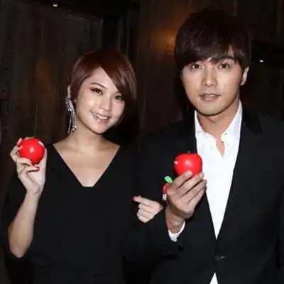 【图】曝贺军翔杨丞琳为什么没在一起 杨丞琳李荣浩被曝同居