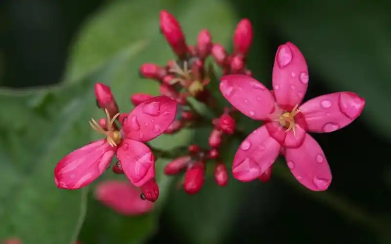 51tietu.net为您提供的好看个性精美壁纸.