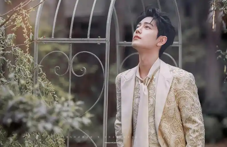 肖战王子壁纸分享06