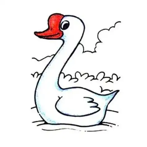 大白鹅的简笔画怎么画大白鹅的简笔画