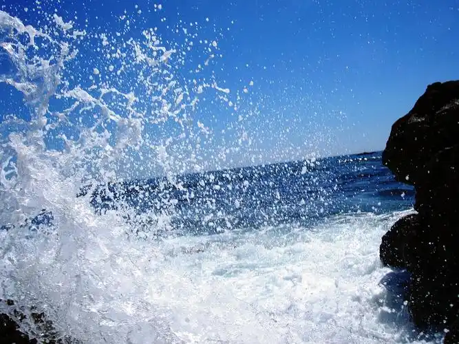 拥抱大海(外一章): 周 波