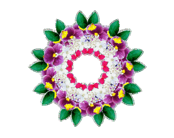 音画制作必备动图收集