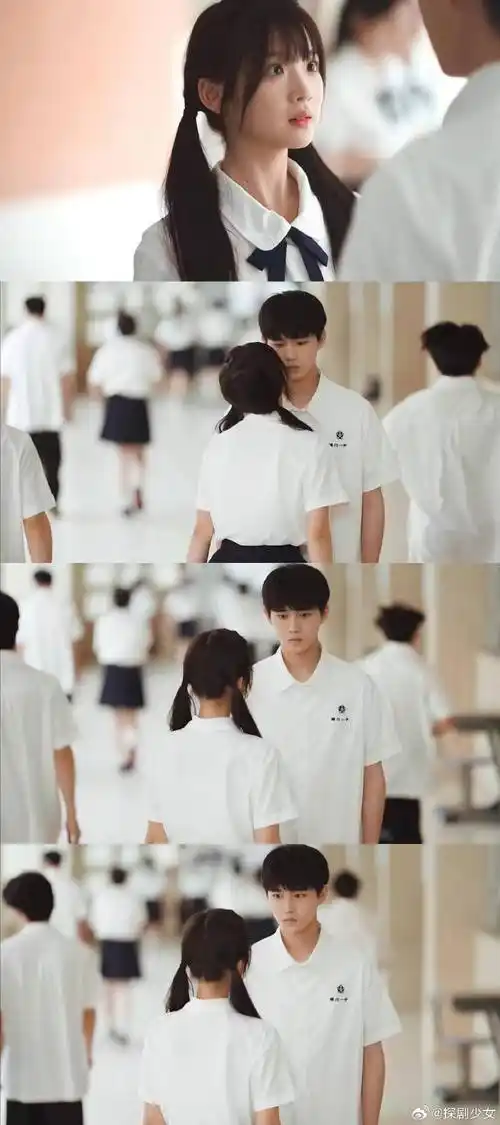 猫的树是懂纯爱的