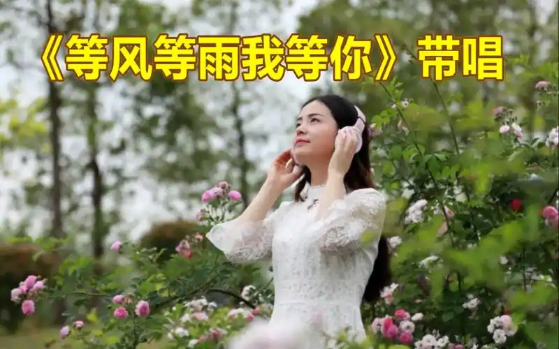 《等风等雨我等你》带唱,零基础轻松学唱歌