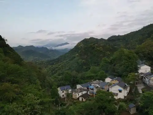 皖南山中宁静的小山村:仙寓山茶园里