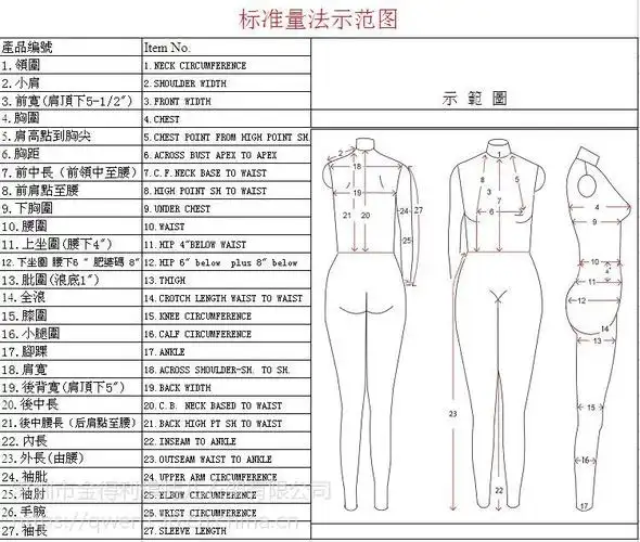 欧美标准立裁模特jdl肥婆女半身人体带网板房模特
