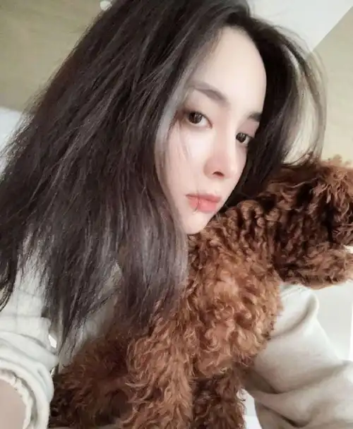 古力娜扎分享睡衣美照,怀抱狗狗尽显温柔,笑容迷人甜如初恋_照片_修狗