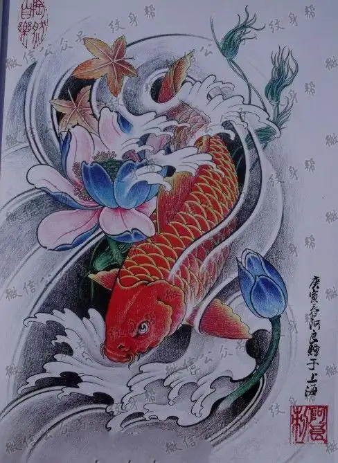 鲤鱼莲花纹身手稿