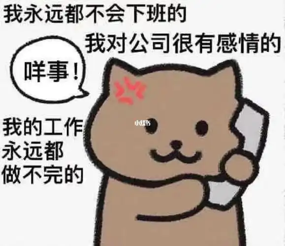 我发现那么多深圳找工作的