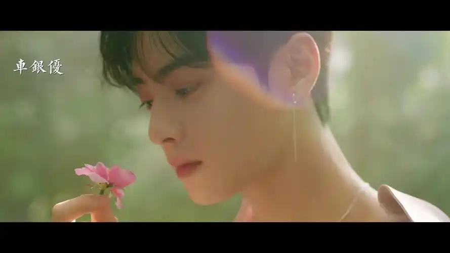 【车银优】来自天堂的魔鬼 | 美颜舔屏向 | astro全员安利 | 入坑不亏