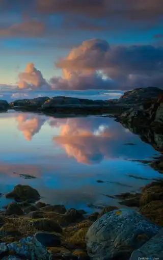 自然界的美丽景色壁纸图片-高清背景图-zol手机壁纸