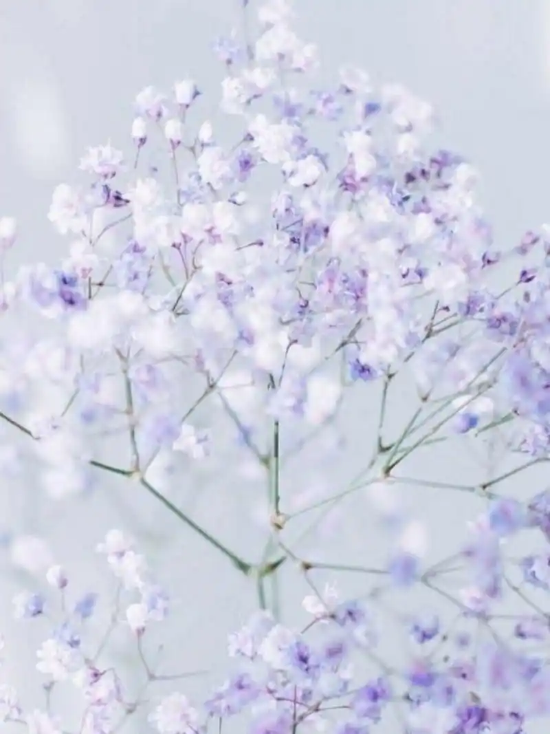 960_1280竖版 竖屏