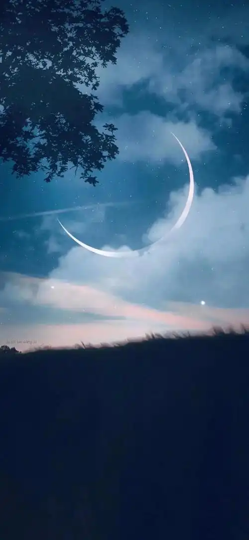 什锦壁纸永远自在清澈明朗