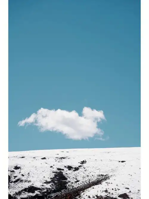 我拍到了奔跑的白马