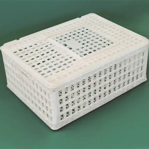 塑料成鸭周转筐抗老化鸭筐批发